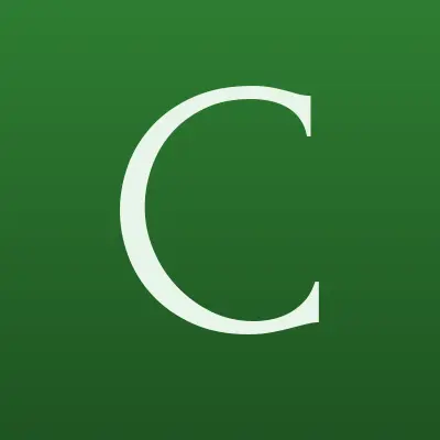Chesterra, клининговая компания, лого-визитка