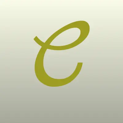 ChipSet Plus, фирма, лого-визитка
