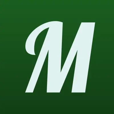 Магия меха, салон, лого-визитка