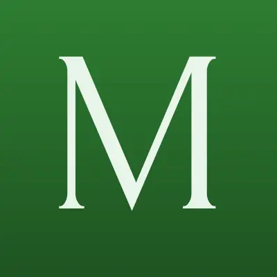 Мегафон, сеть салонов связи, лого-визитка